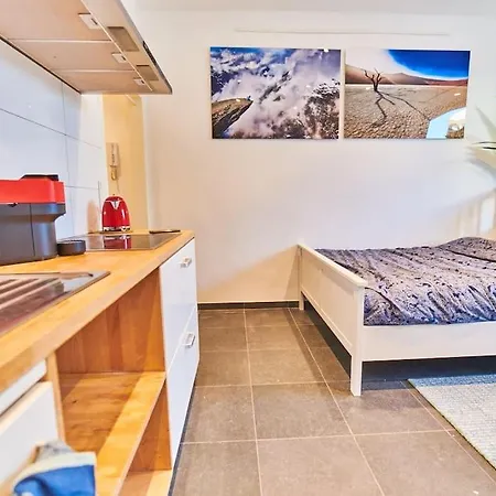 Apartman Hyper Centre - Cathedrale